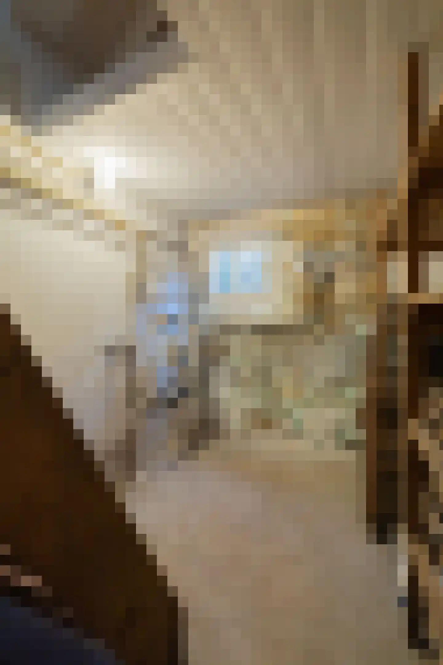 Van Oldenielstraat 3 Deventer thumbnail 18