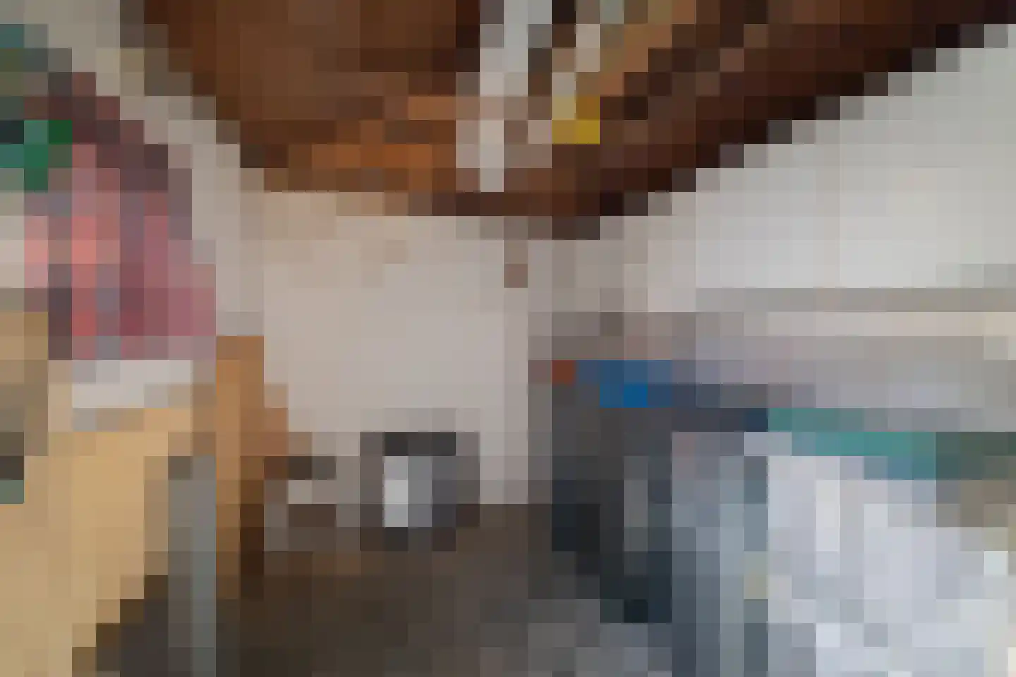 Van Oldenielstraat 3 Deventer thumbnail 41
