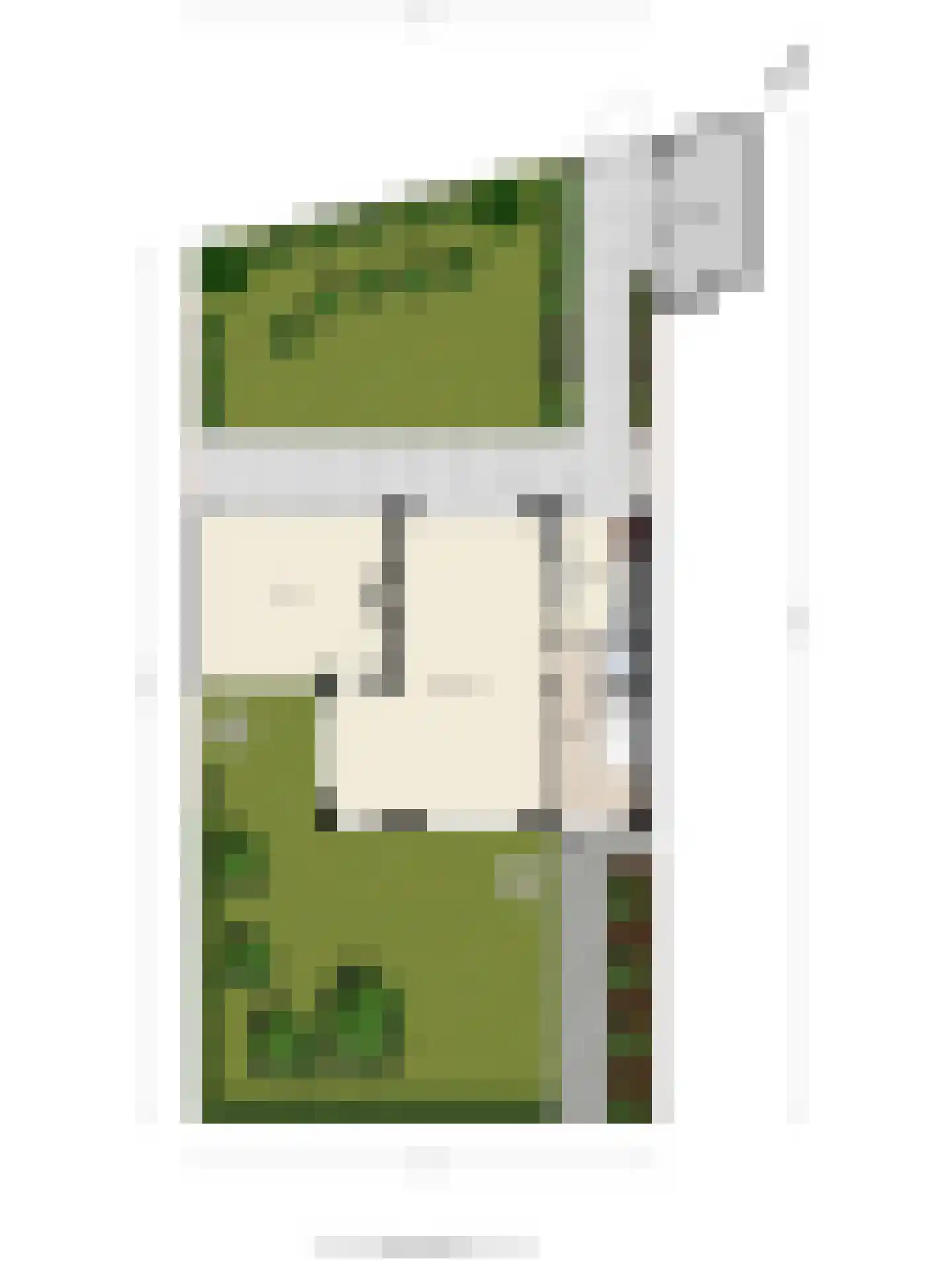 Van Oldenielstraat 3 Deventer thumbnail 58