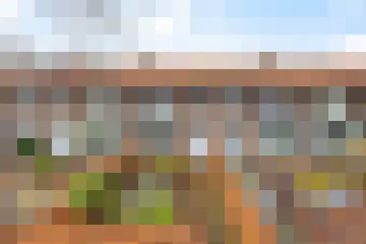 Van Oldenielstraat 49 in Deventer