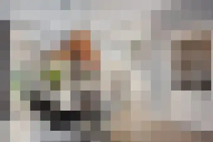 Van Oldenielstraat 49 Deventer thumbnail 7