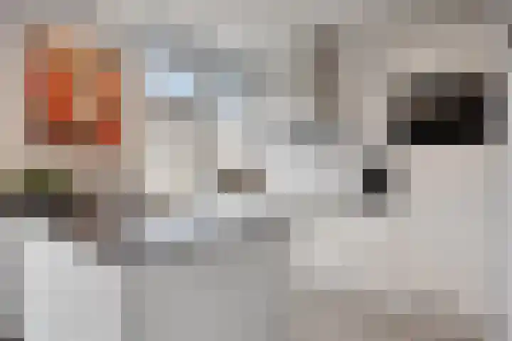 Van Oldenielstraat 49 Deventer thumbnail 8