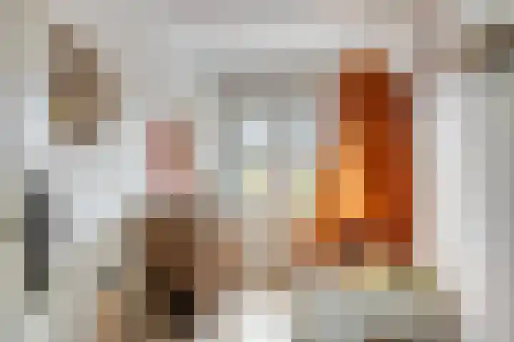 Van Oldenielstraat 51 Deventer thumbnail 16