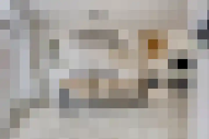 Van Oldenielstraat 51 Deventer thumbnail 7