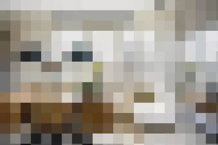 Van Ommerenhaven 3 Barendrecht thumbnail 23