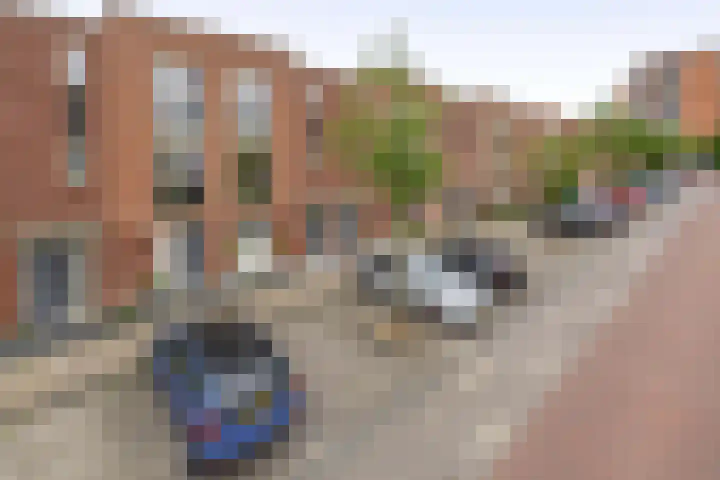 Van Ommerenhaven 6 Barendrecht thumbnail 7