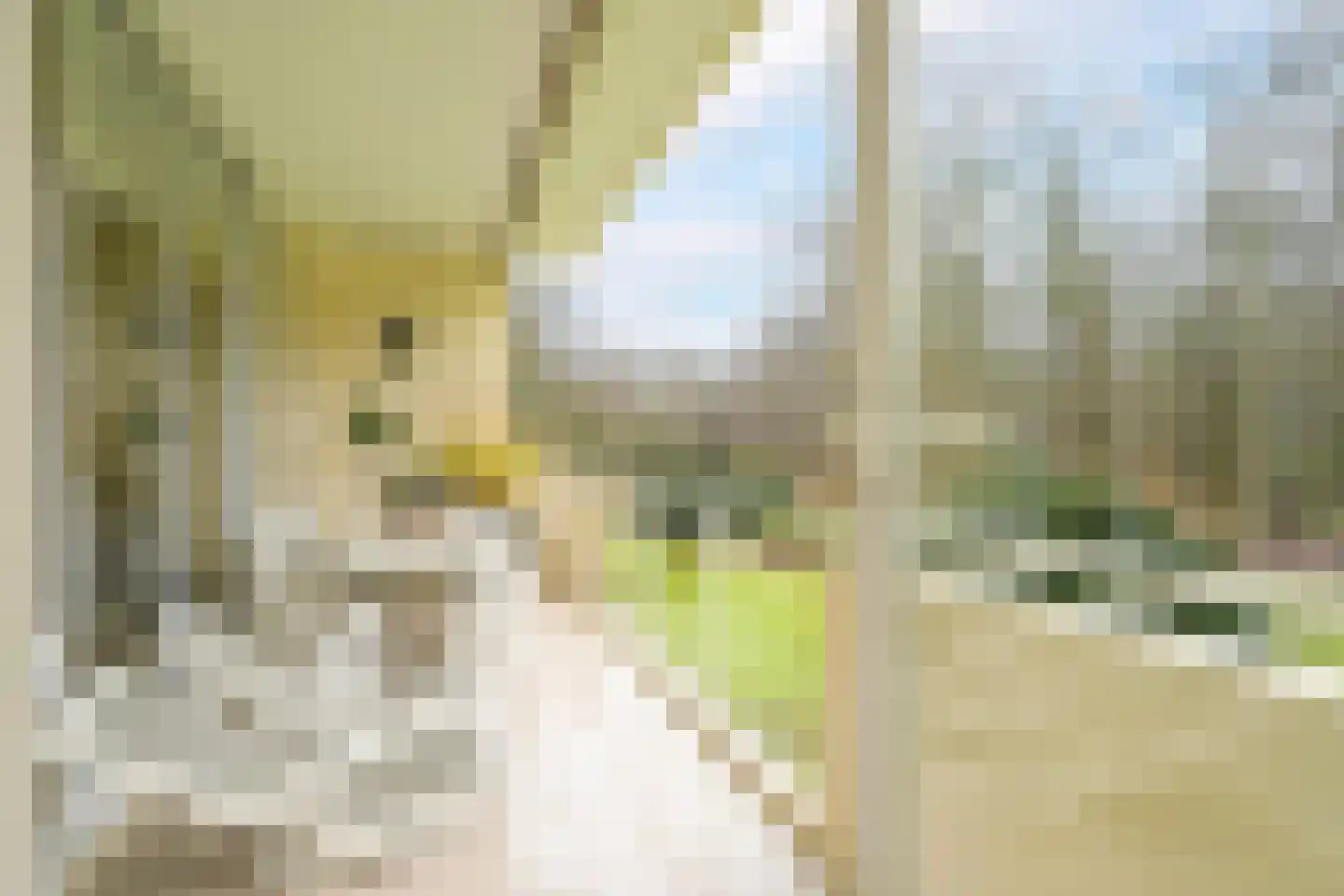 Van Ommerenlaan 14 Wassenaar thumbnail 21