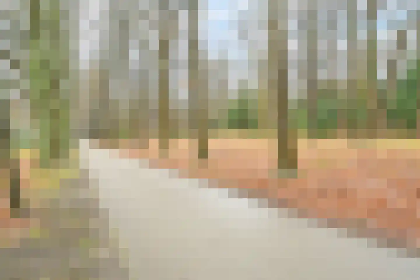 Van Ommerenlaan 14 Wassenaar thumbnail 41