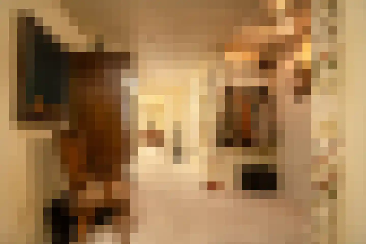 Van Ommerenlaan 16 Wassenaar thumbnail 10