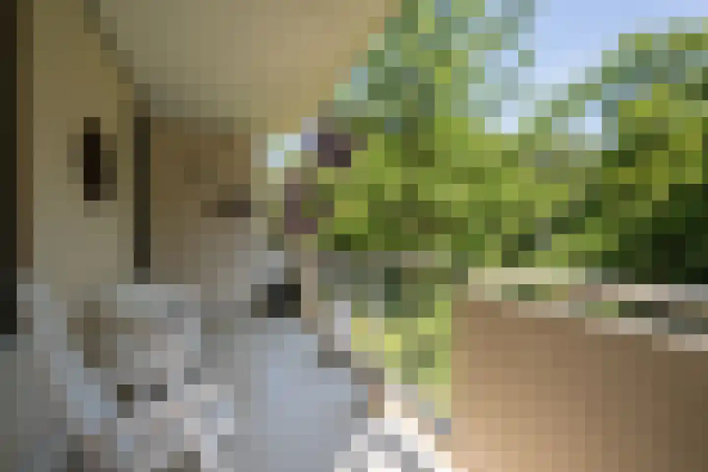 Van Ommerenlaan 16 Wassenaar thumbnail 12