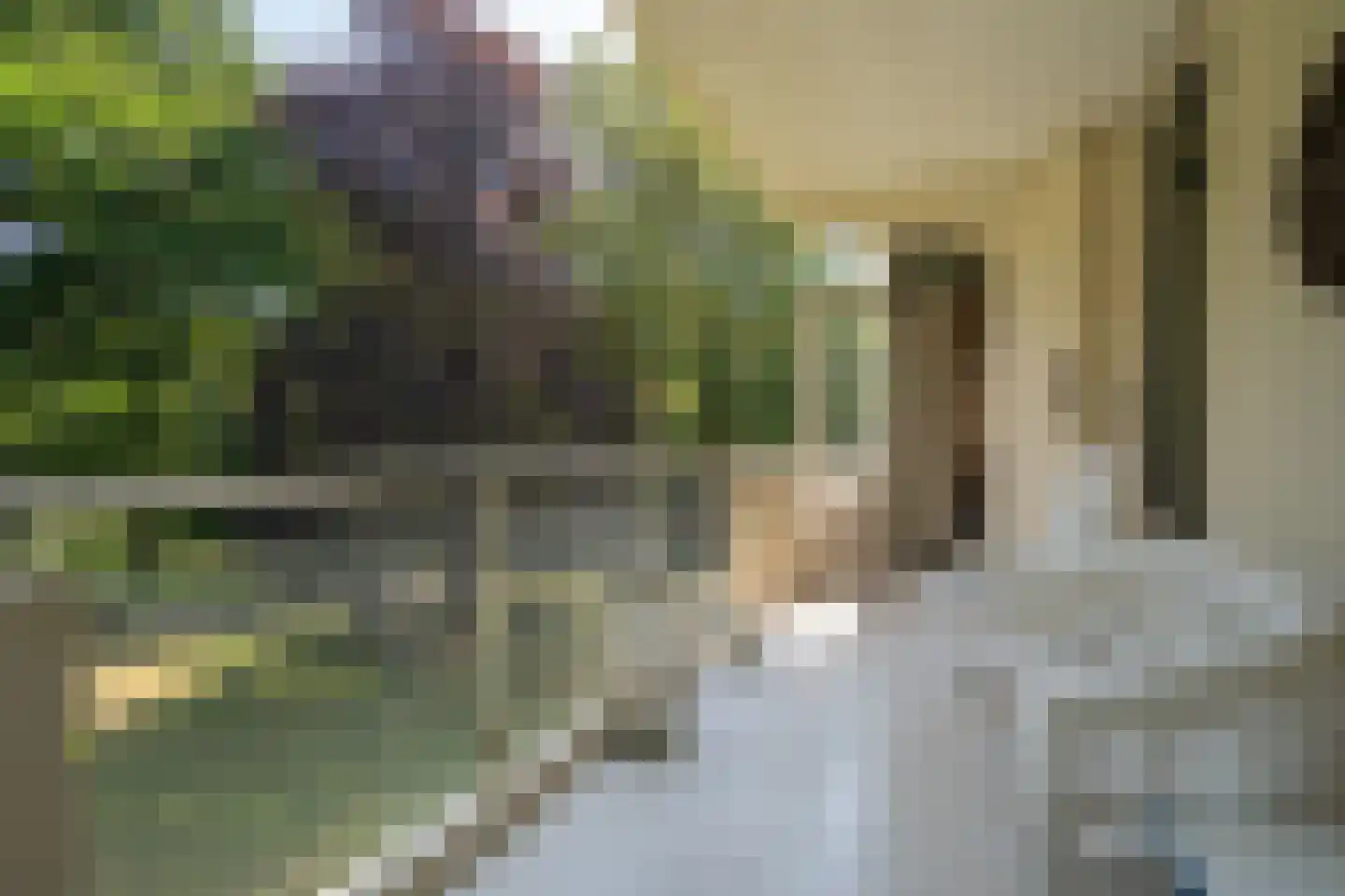 Van Ommerenlaan 16 Wassenaar thumbnail 13
