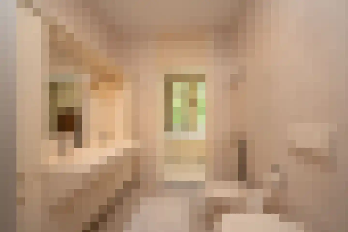 Van Ommerenlaan 16 Wassenaar thumbnail 20