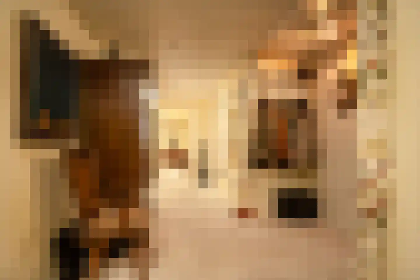 Van Ommerenlaan 16 Wassenaar thumbnail 22