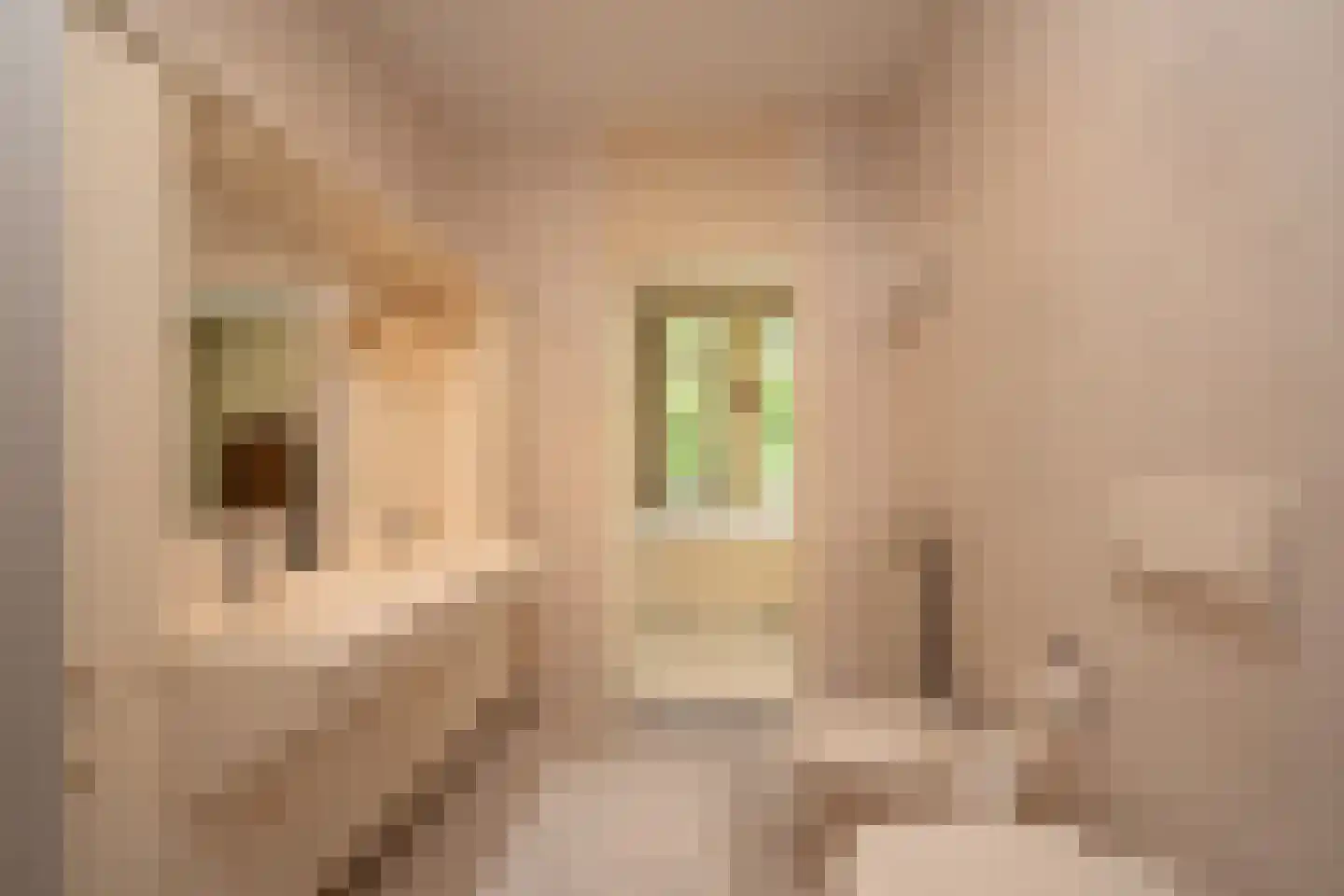 Van Ommerenlaan 16 Wassenaar thumbnail 30