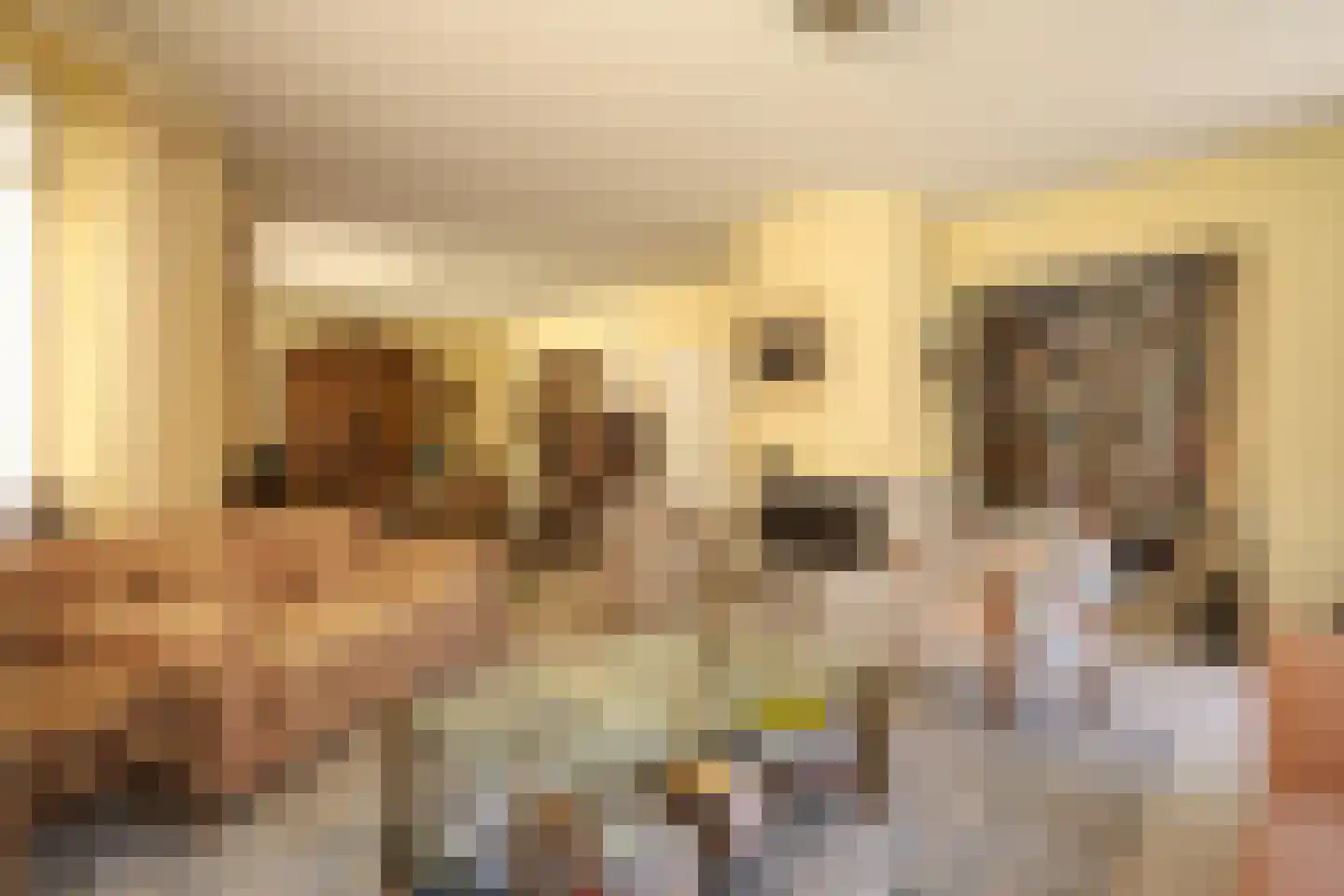 Van Ommerenlaan 16 Wassenaar thumbnail 6