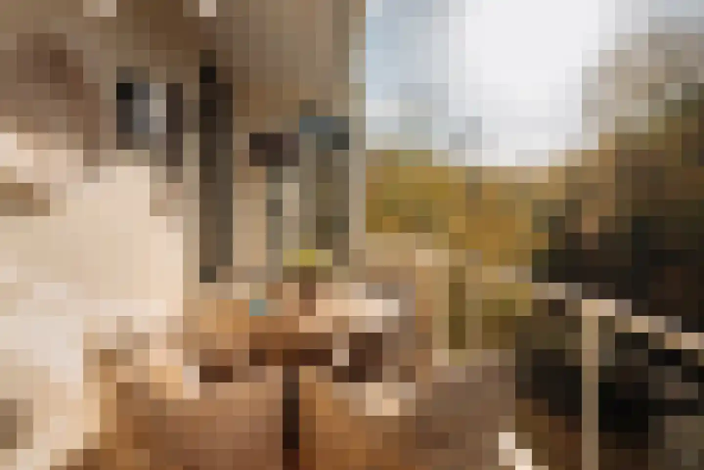 Van Ommerenlaan 22 Wassenaar thumbnail 11