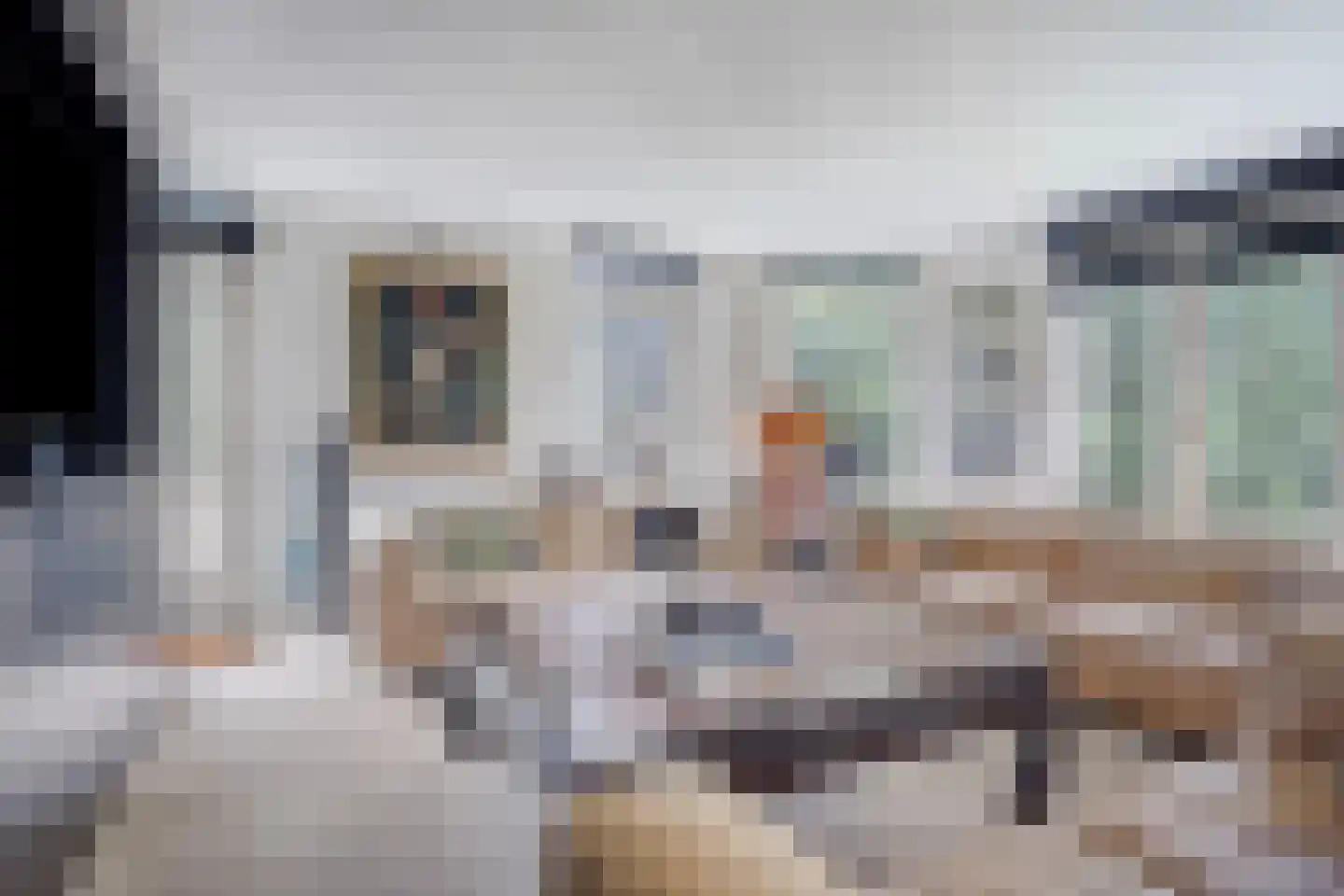 Van Ommerenlaan 22 Wassenaar thumbnail 15
