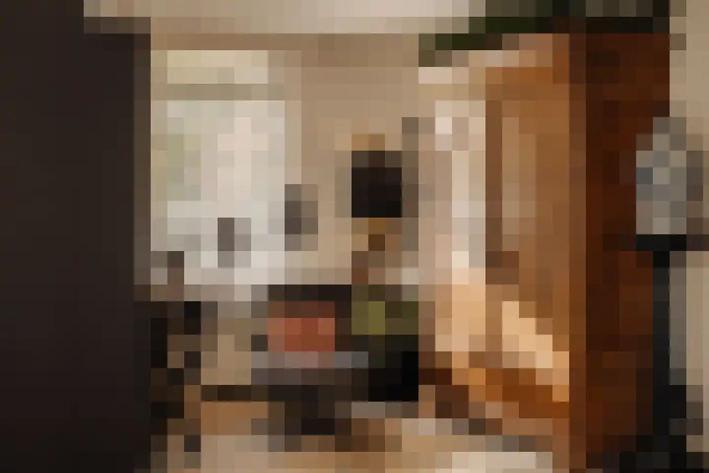 Van Ommerenlaan 22 Wassenaar thumbnail 21
