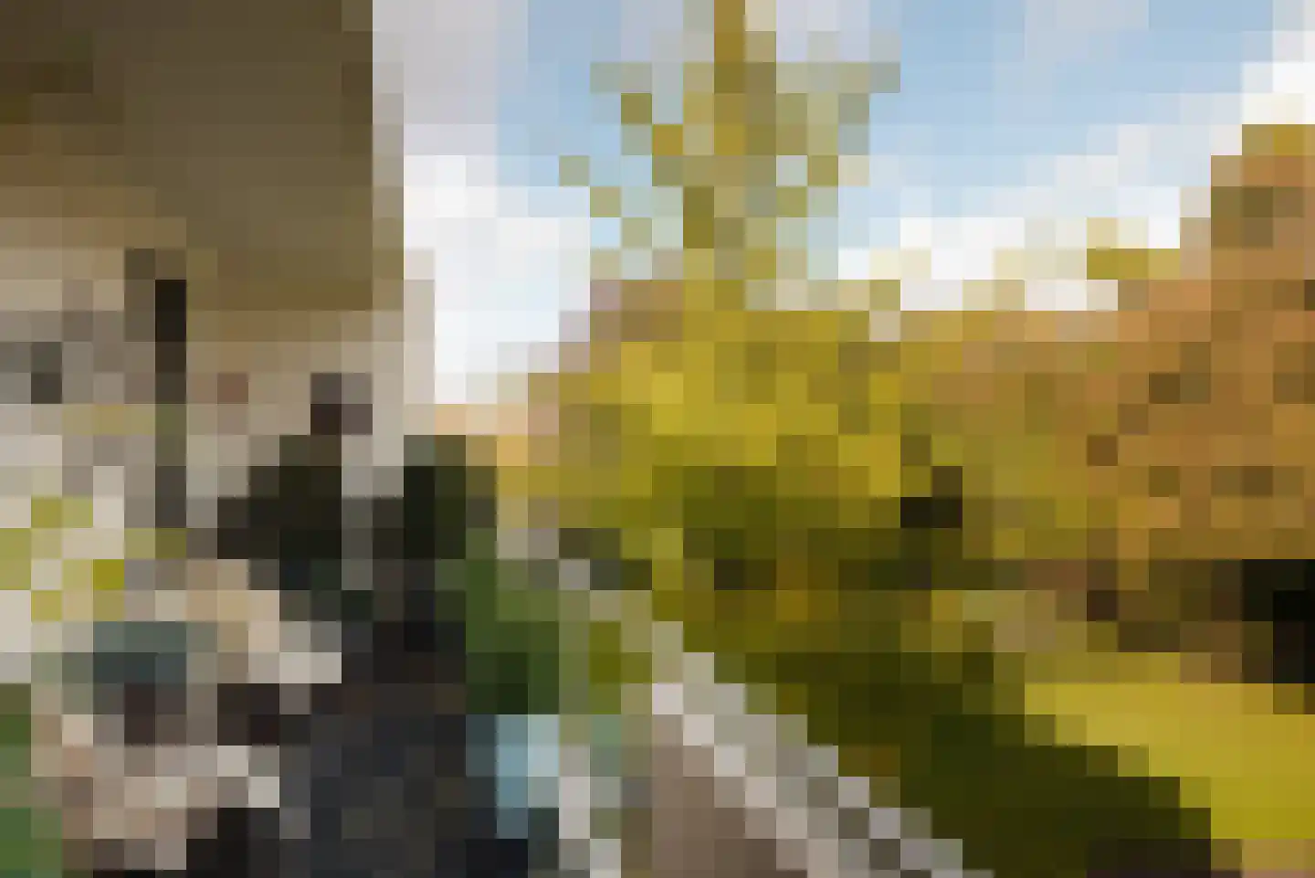 Van Ommerenlaan 22 Wassenaar thumbnail 22