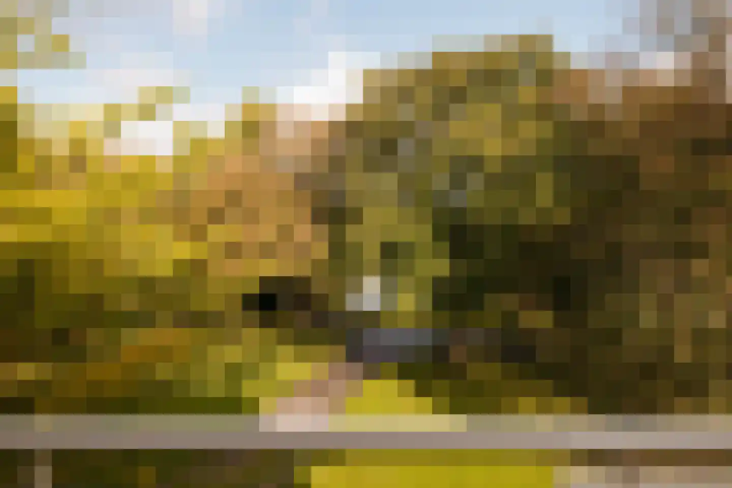 Van Ommerenlaan 22 Wassenaar thumbnail 23