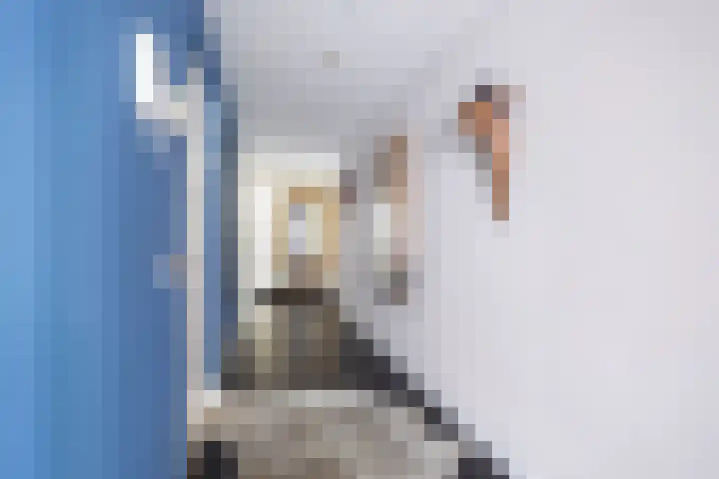 Van Ommerenlaan 22 Wassenaar thumbnail 25