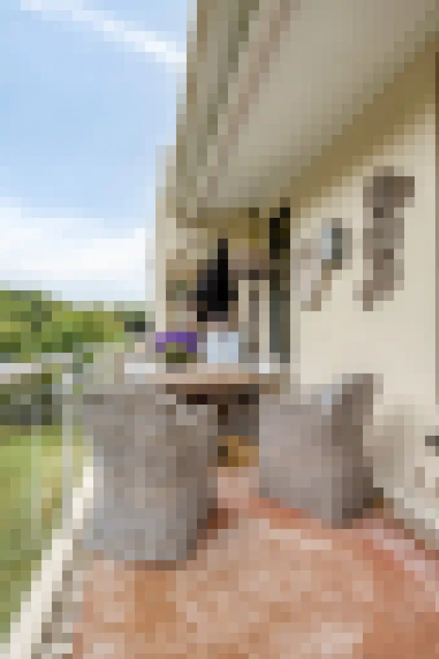 Van Ommerenlaan 22 Wassenaar thumbnail 37