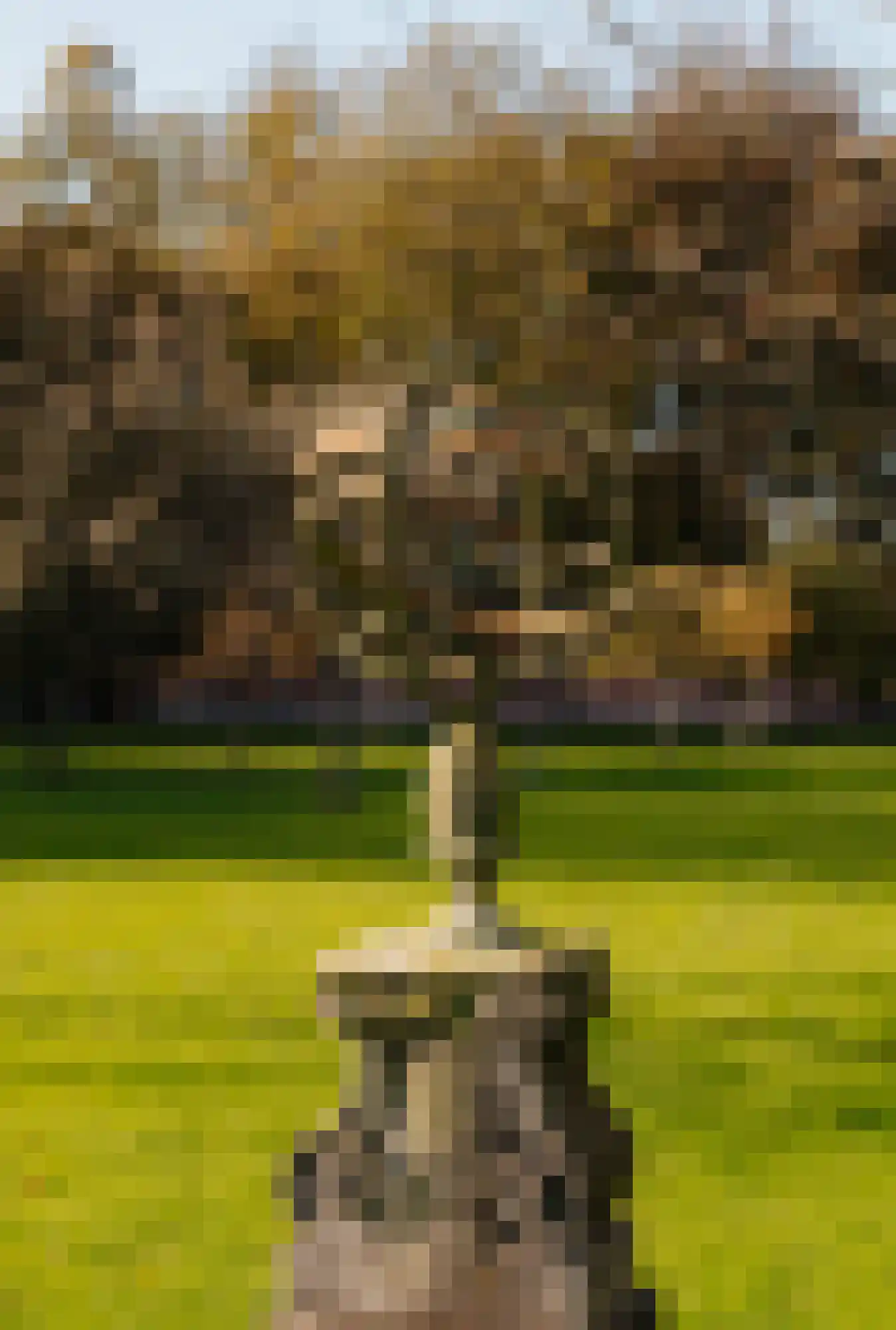 Van Ommerenlaan 22 Wassenaar thumbnail 39