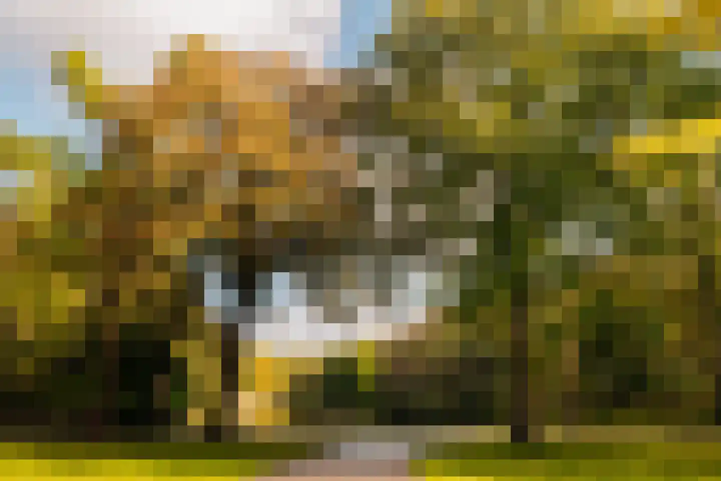 Van Ommerenlaan 22 Wassenaar thumbnail 4