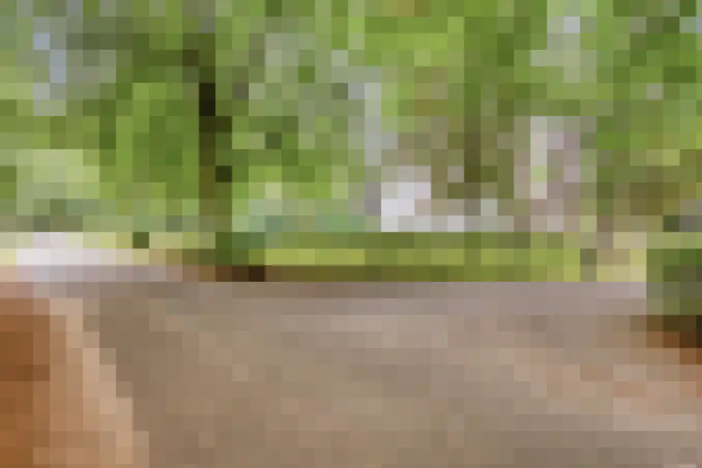 Van Ommerenlaan 22 Wassenaar thumbnail 41