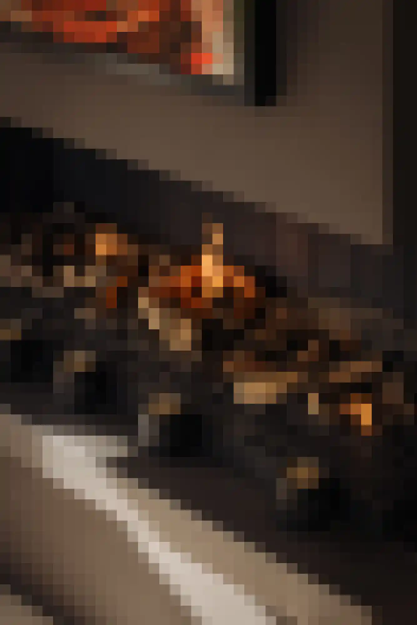 Van Ommerenlaan 22 Wassenaar thumbnail 8
