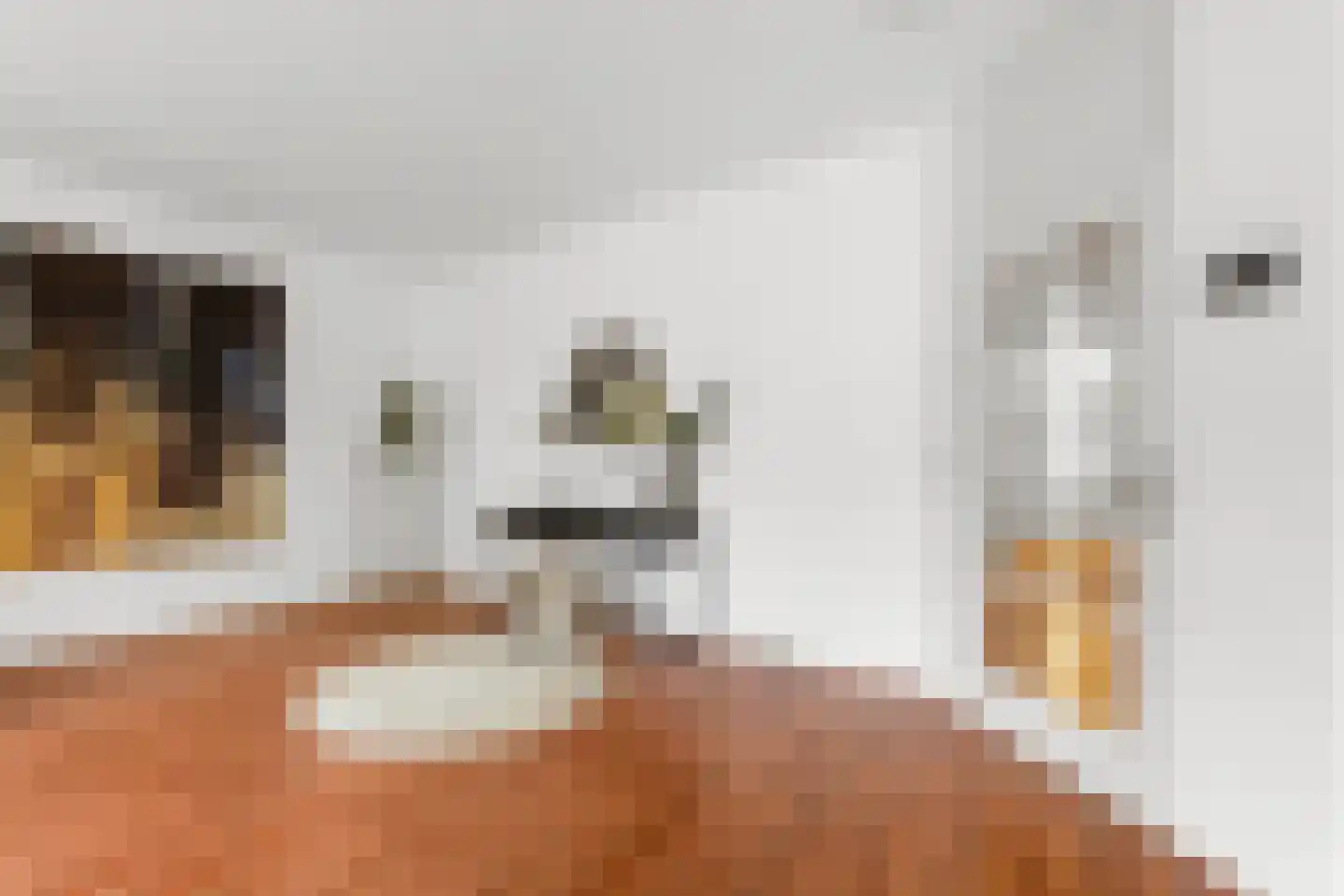 Van Ommerenlaan 36 Wassenaar thumbnail 17