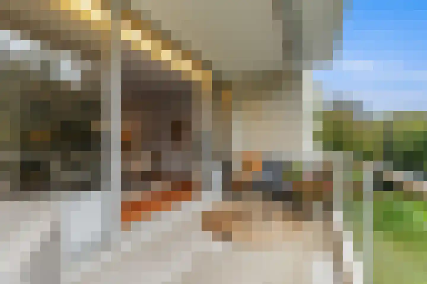 Van Ommerenlaan 36 Wassenaar thumbnail 23