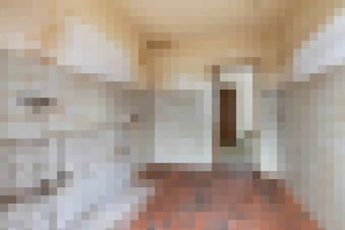 van Ommerenstraat 13 Helmond thumbnail 13