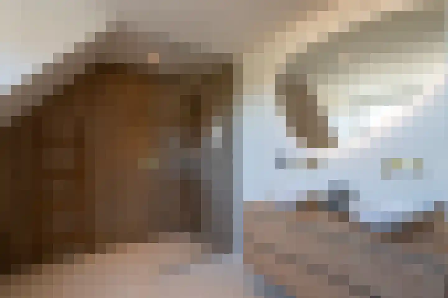 van Ommerenstraat 47 Helmond thumbnail 24