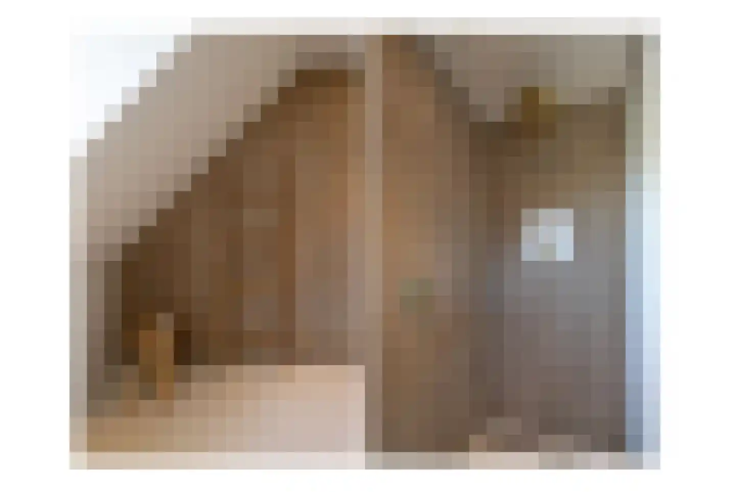van Ommerenstraat 47 Helmond thumbnail 25