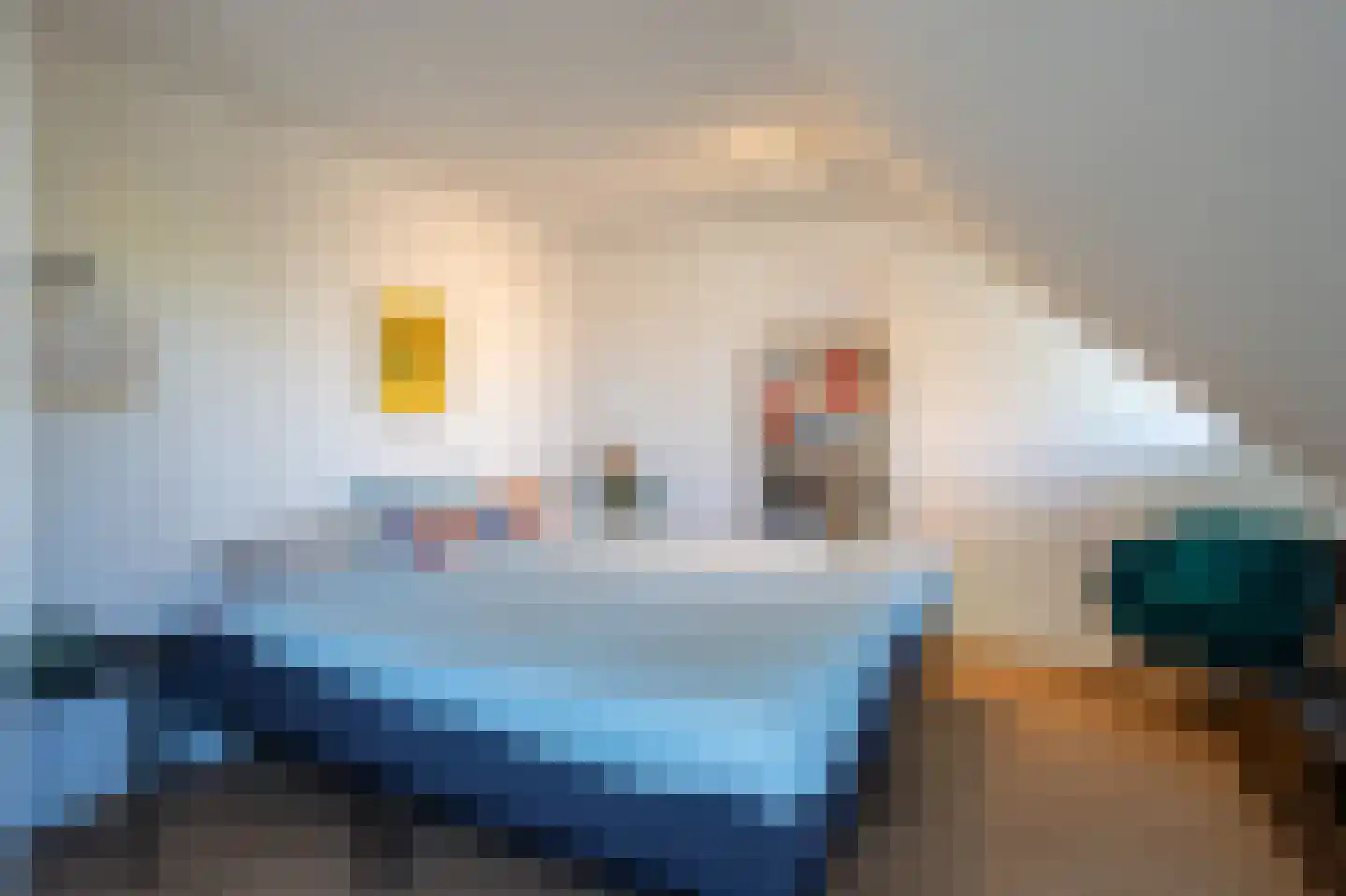 van Ommerenstraat 47 Helmond thumbnail 31