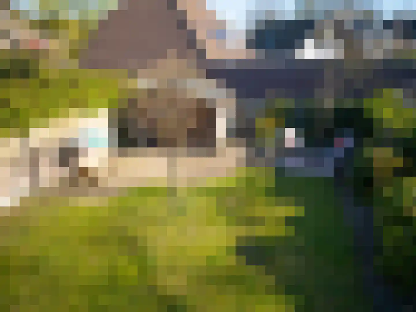van Ommerenstraat 47 Helmond thumbnail 43