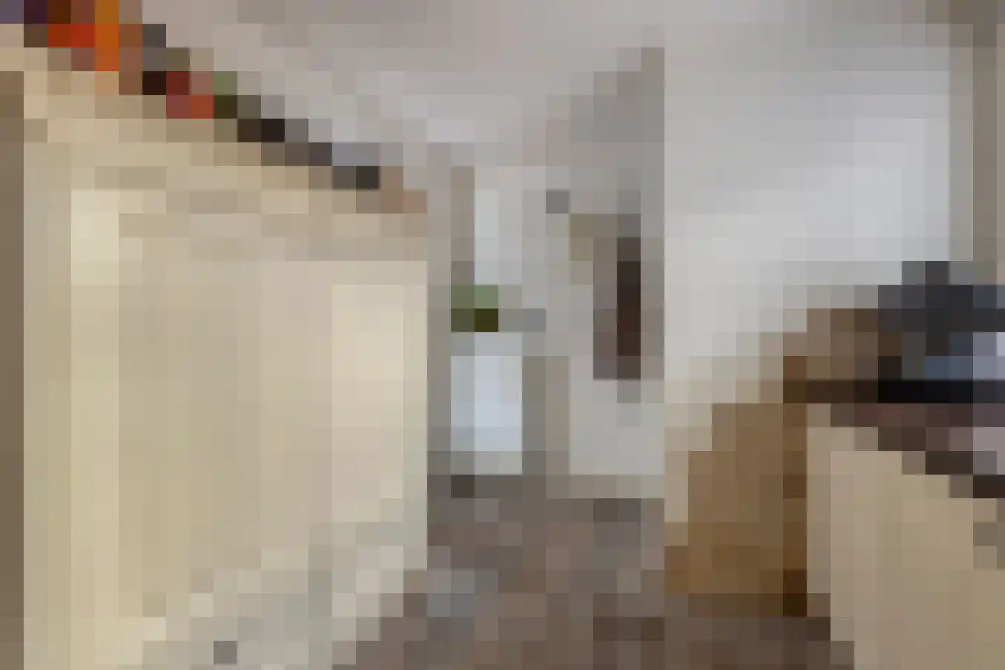 van Oorschotstraat 4 Helmond thumbnail 19