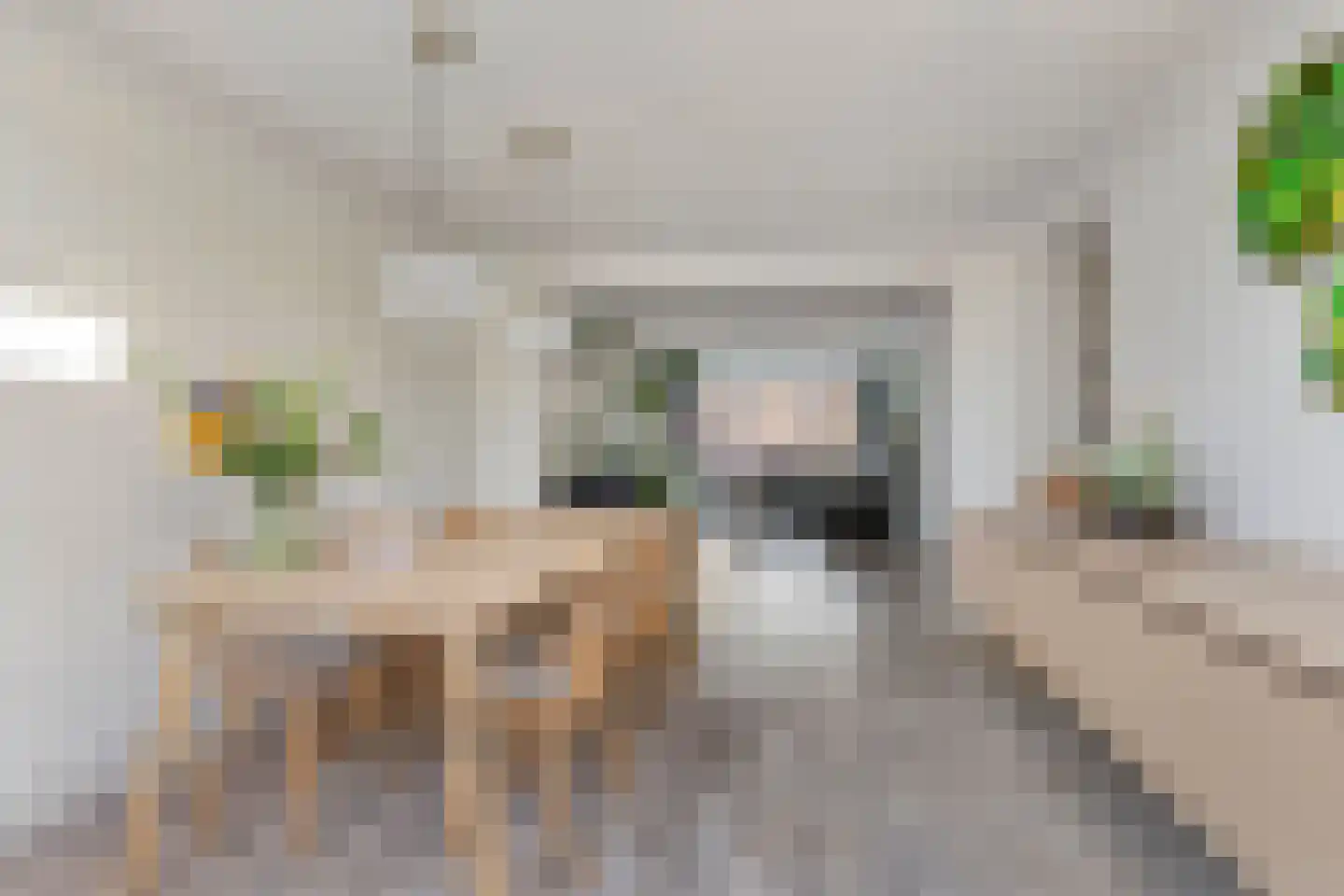 van Oorschotstraat 4 Helmond thumbnail 20