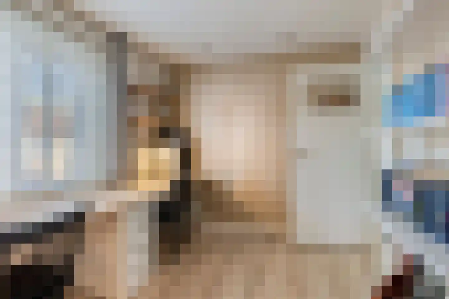 van Oorschotstraat 4 Helmond thumbnail 26