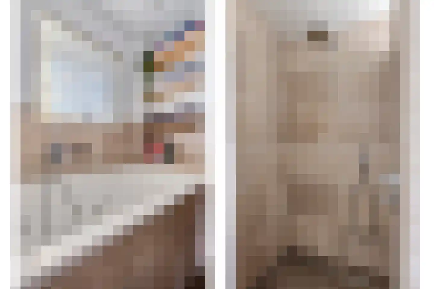 van Oorschotstraat 4 Helmond thumbnail 30