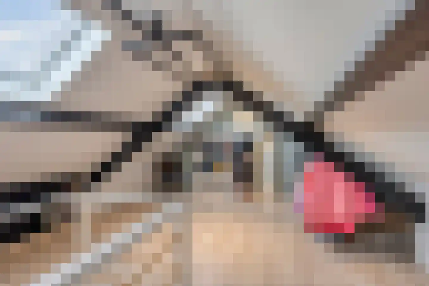 van Oorschotstraat 4 Helmond thumbnail 33