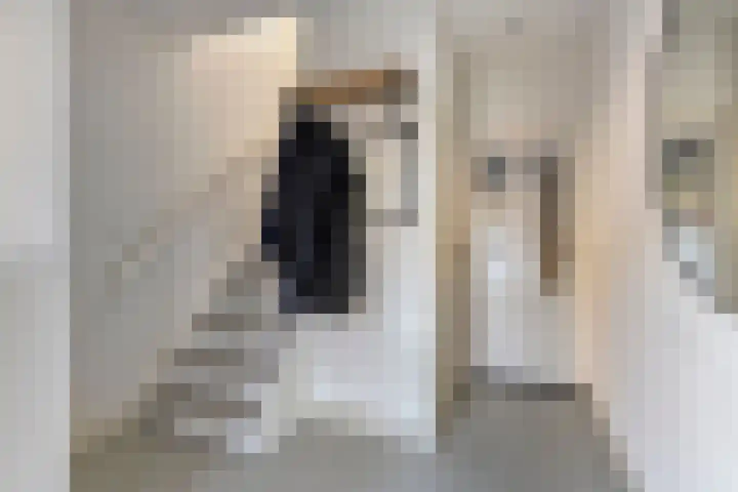 van Oorschotstraat 4 Helmond thumbnail 8