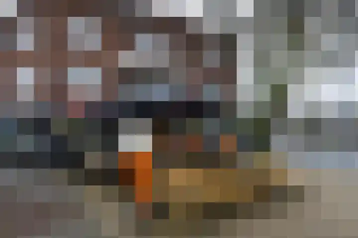 Van Oosten de Bruijnstraat 191 Haarlem thumbnail 33