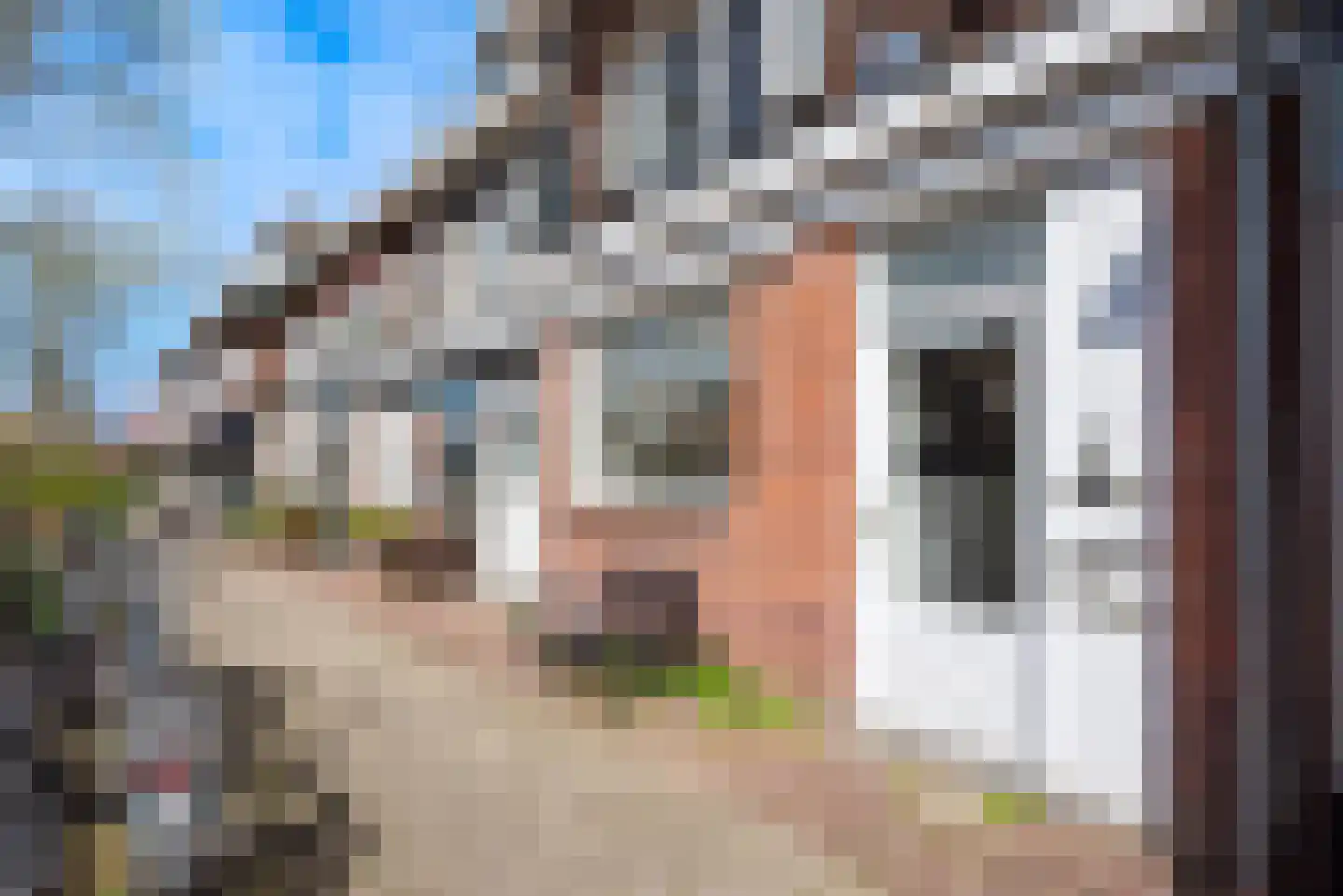 Van Oosten de Bruijnstraat 211 Haarlem thumbnail 5