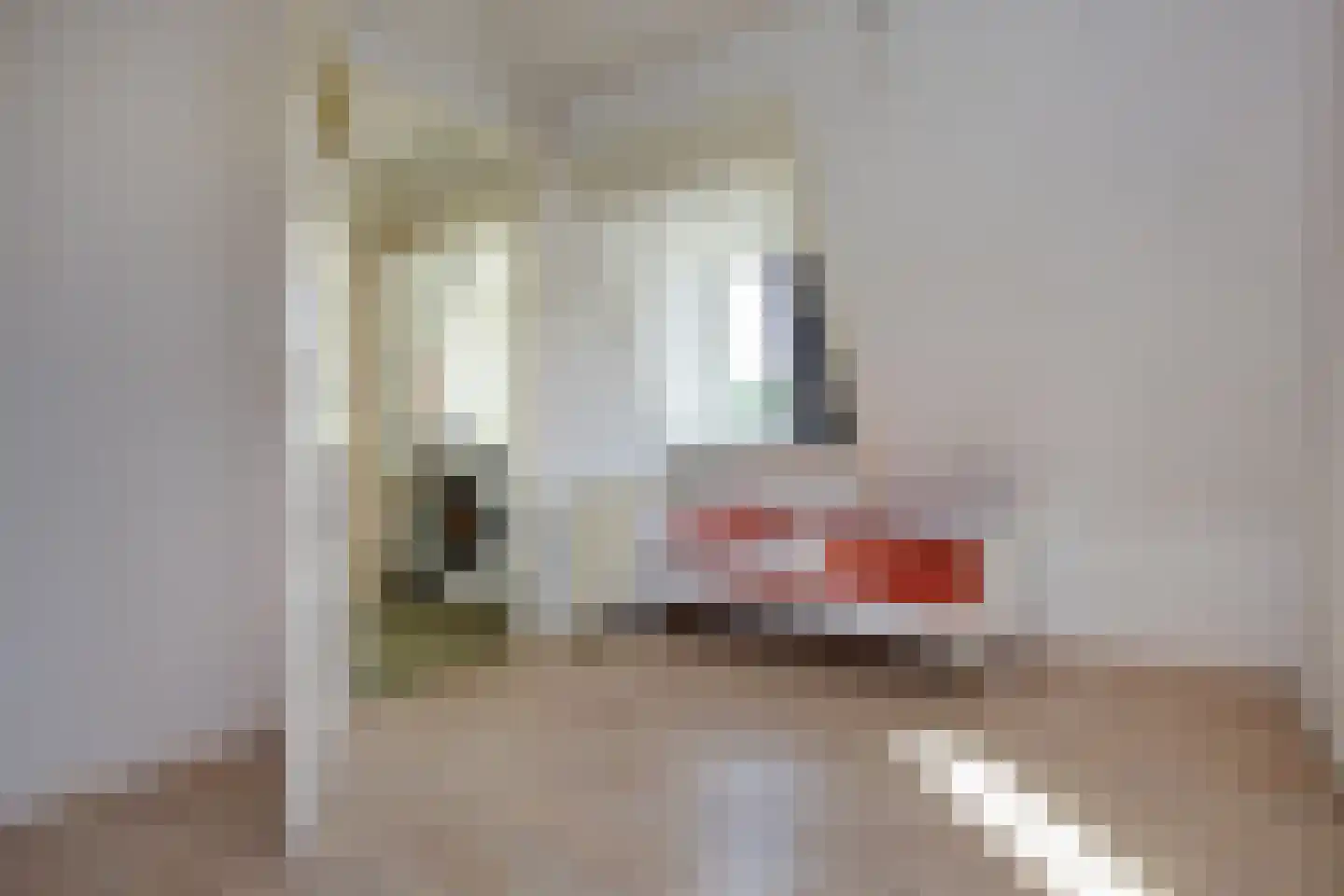 Van Oosten de Bruijnstraat 222 Haarlem thumbnail 25