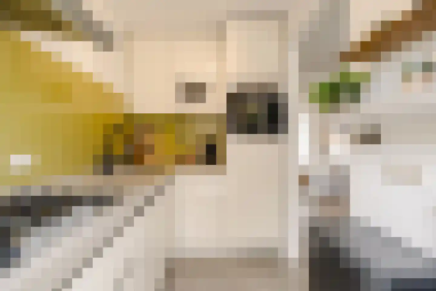 Van Oosten de Bruijnstraat 51 Haarlem thumbnail 16