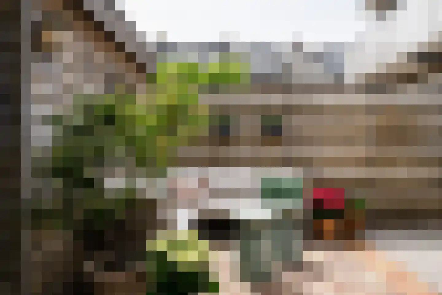 Van Oosten de Bruijnstraat 51 Haarlem thumbnail 22