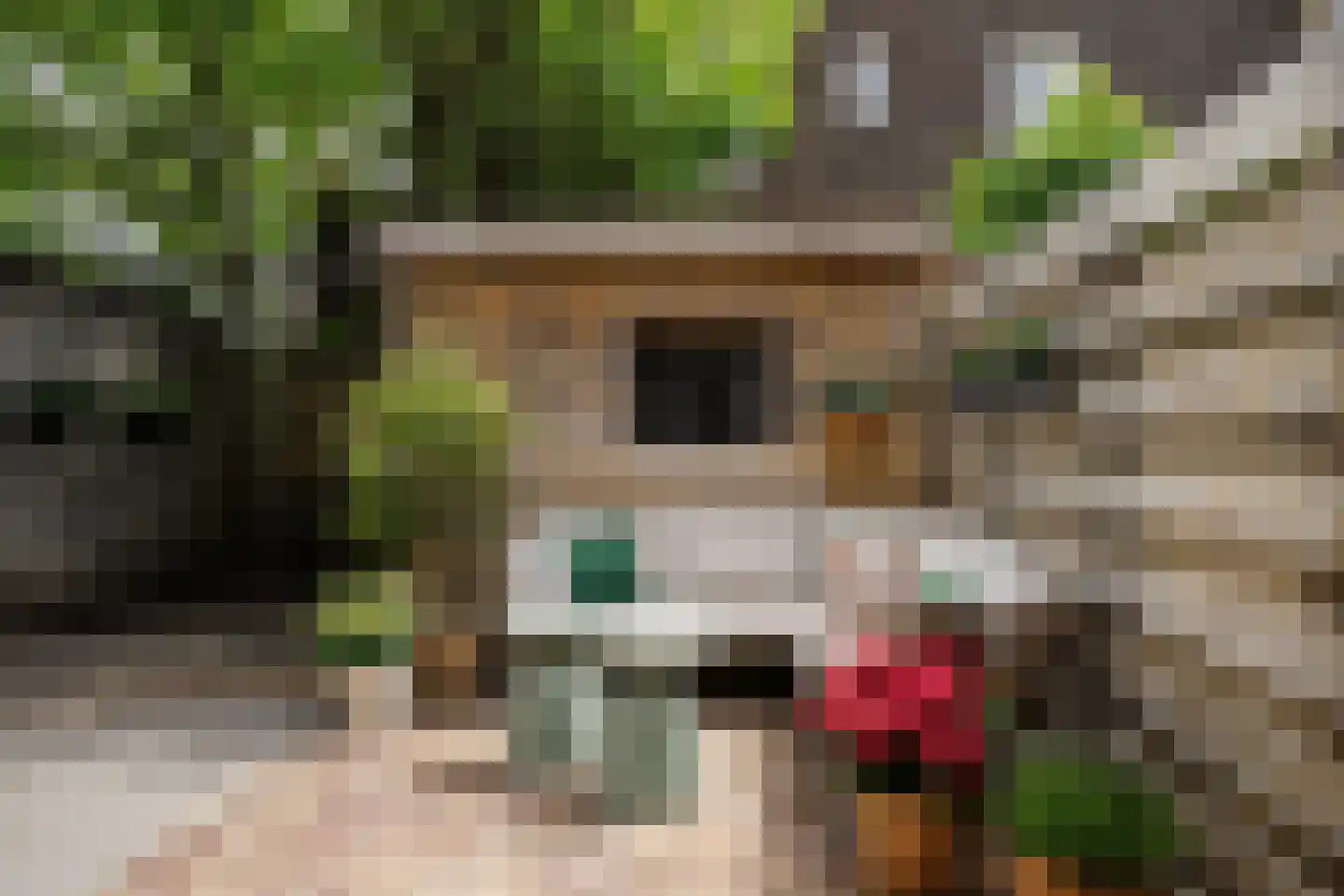 Van Oosten de Bruijnstraat 51 Haarlem thumbnail 4
