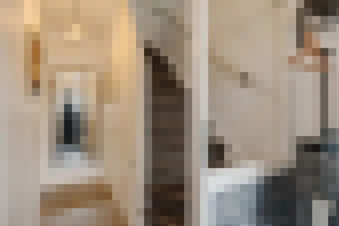 Van Oosten de Bruijnstraat 51 Haarlem thumbnail 7